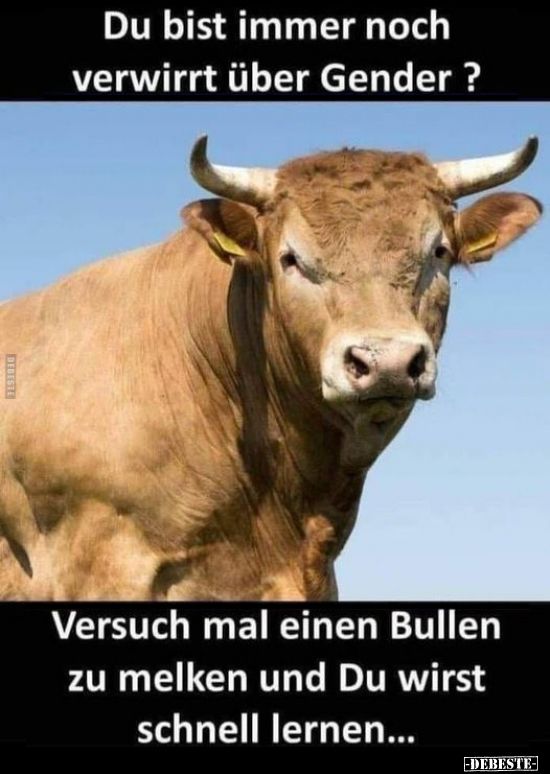 41659ca5ce4aa22aa7561c18fb060e1f8664bullen....jpg