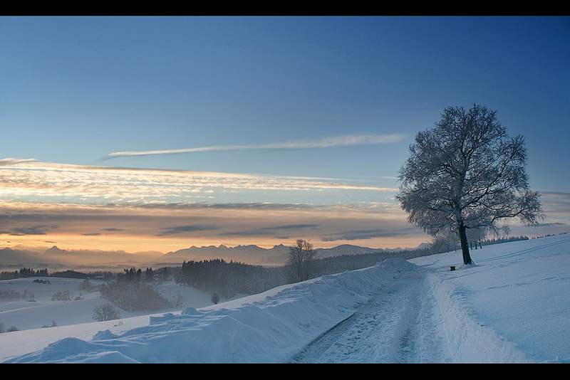 wintermorgen.jpg