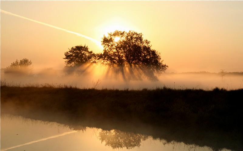 bodennebel.jpg