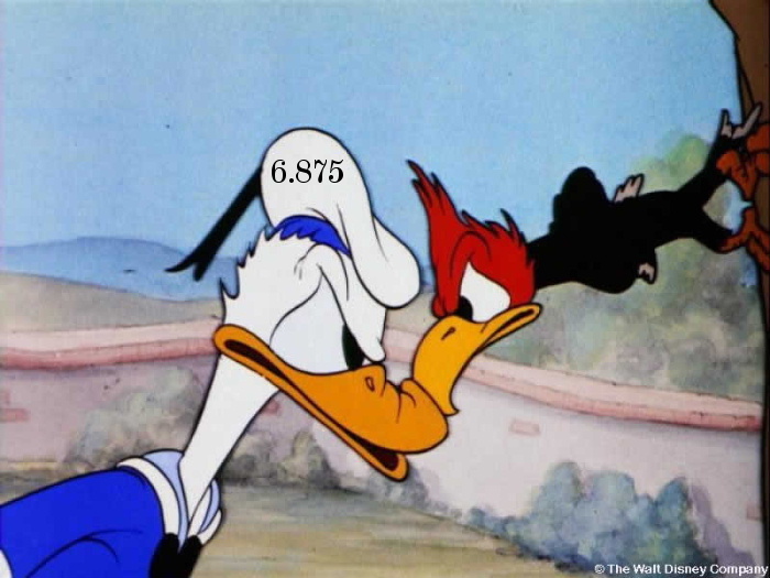 97.jpg