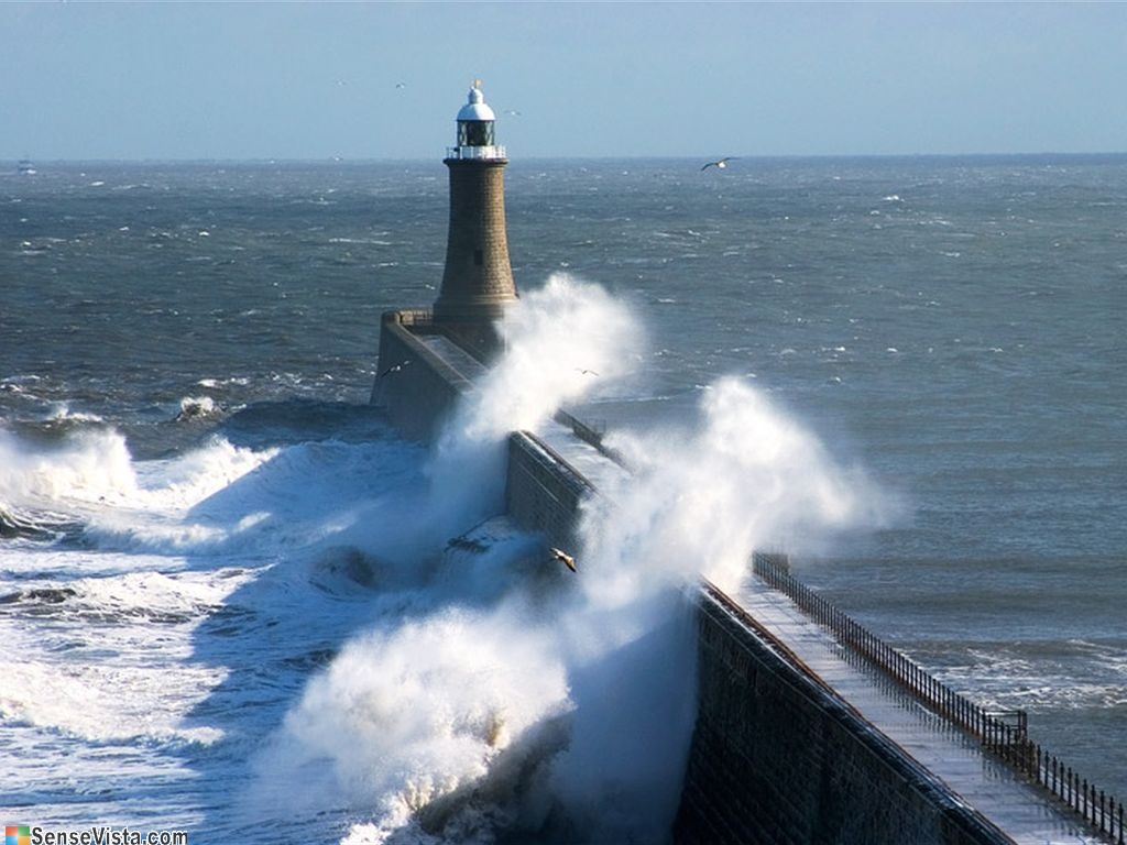 5366_sea_wallpapers_53661024_768.jpg