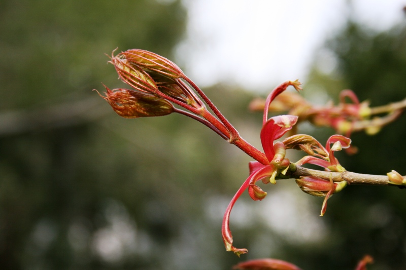 img_0435_x.jpg