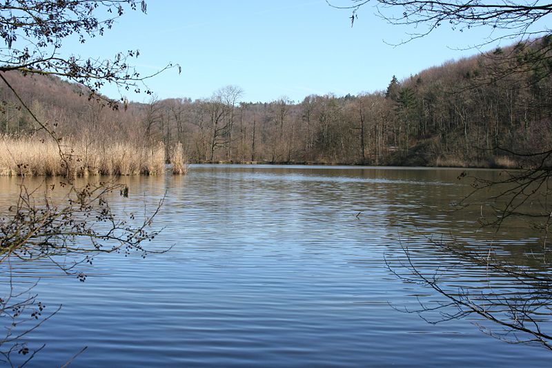 _bleichsee_20070313.jpg