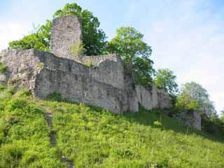 ansik.jpg
