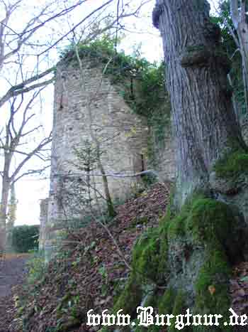 hohennagold2.jpg