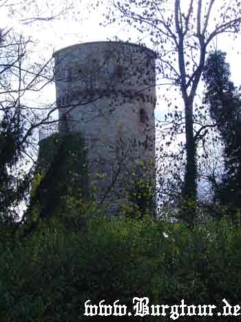 hohennagold5.jpg