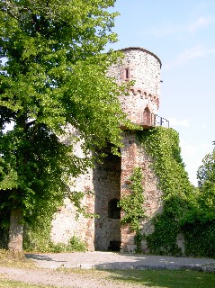 schlossberg_turm.jpg