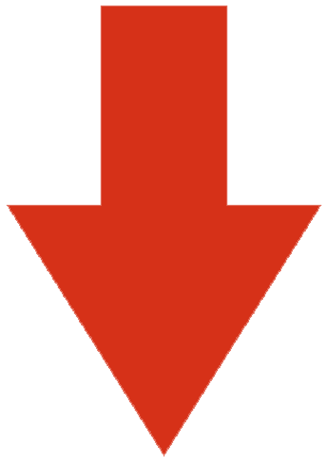 pfeil-runter-rot_x2.gif