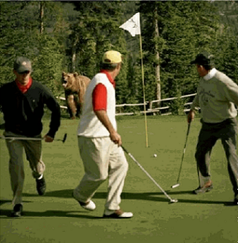 2008-05-11_103055.png