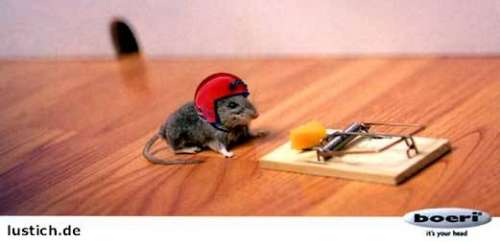 gscheite_maus.jpg