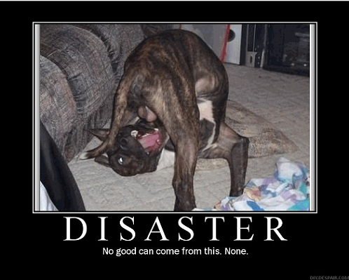 2008-07-12_222855.png