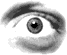 a_augen08.gif