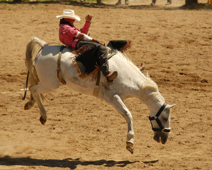 rodeo.jpg