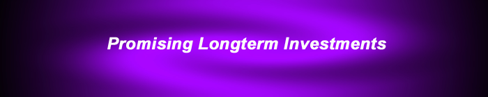 promising_longterm_investments.jpg
