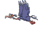 11.gif