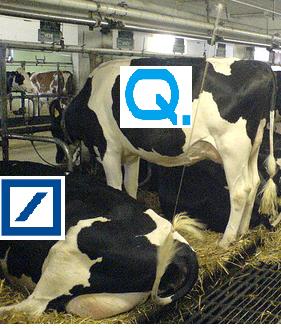 q-db.jpg