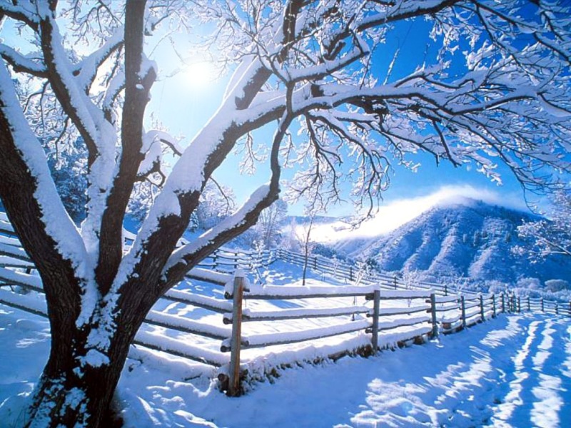 winter_000.jpg