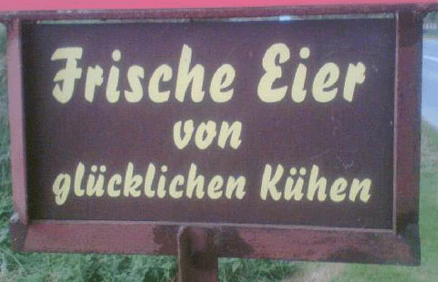 eier_kuh.gif
