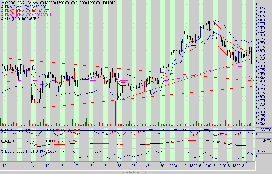 dax.gif