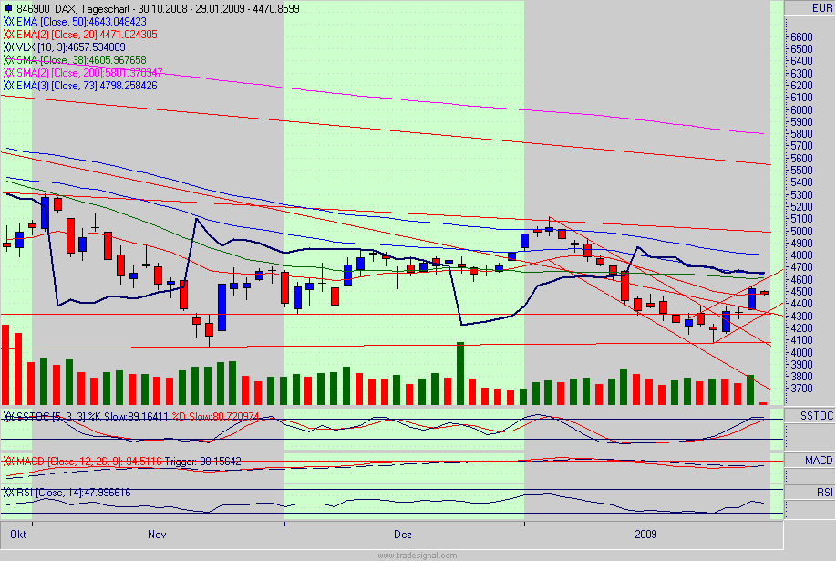 dax.gif