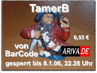 TamerB_6.jpg