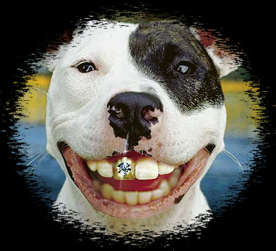 nachbars-hund-war-beim-zahn.jpg