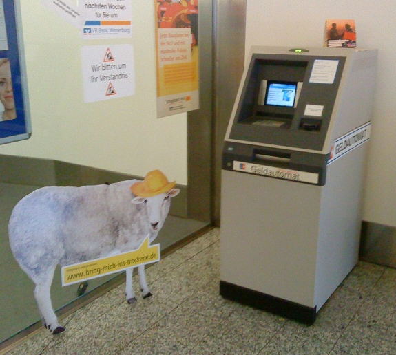 schafe-gehen-zur-bank.jpg