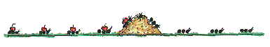 ameise-0005.gif