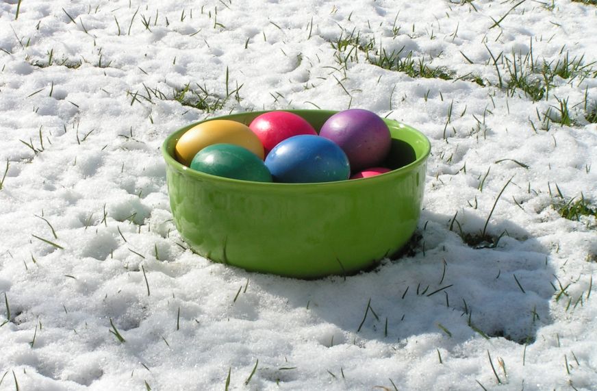 ostern2008.jpg