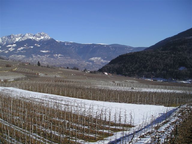 kleinP1010007.JPG