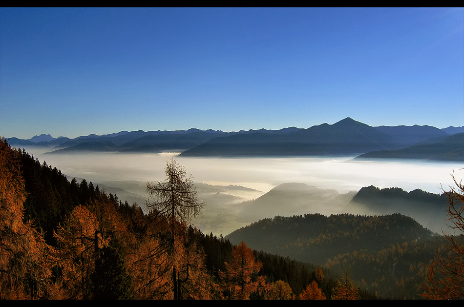 tal_im_nebel.jpg