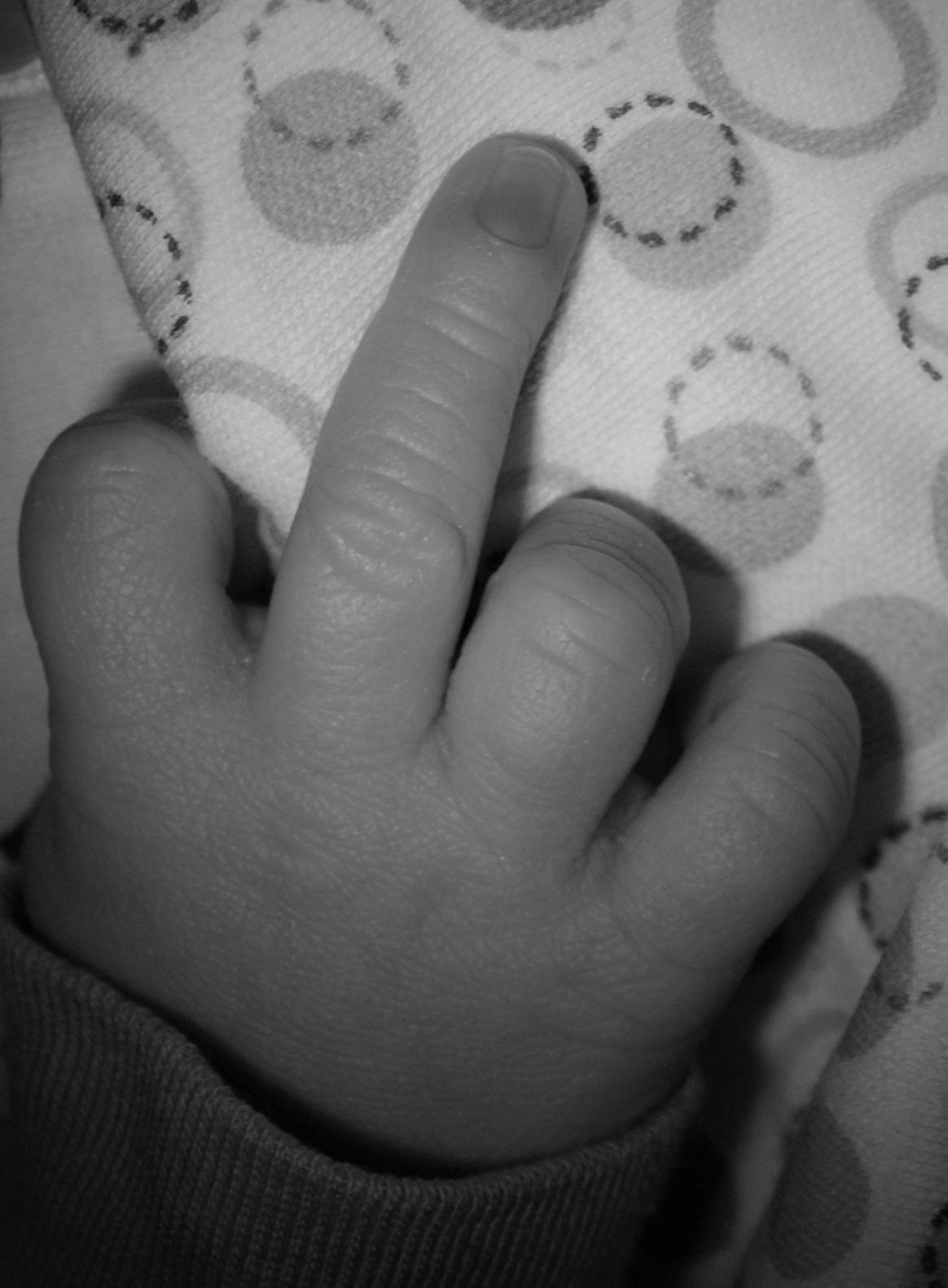 stinkefinger1.jpg
