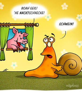 nacktschnecke3888764tt5.jpg