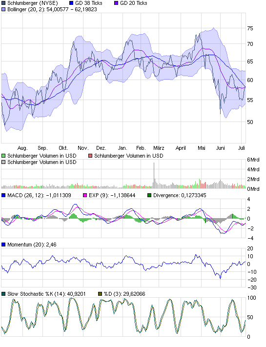 chart_year_schlumberger.png