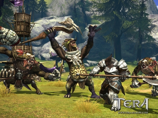 tera_screenshot_02.jpg