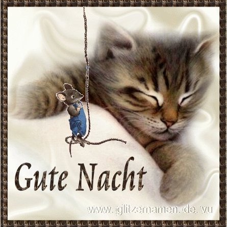 gute-nacht-katze-ernalein63.jpg