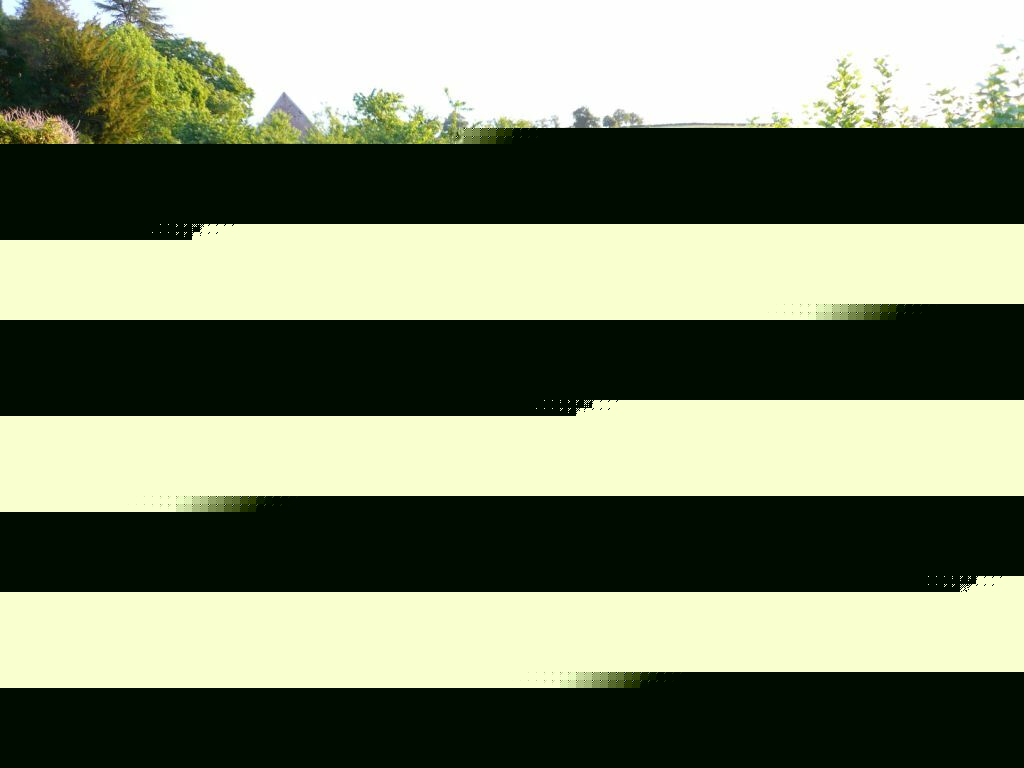 gepflegtergarten.jpg