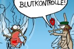 stechmuecke.jpg