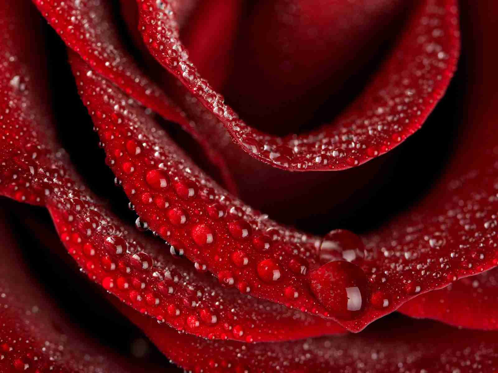 test300.jpg