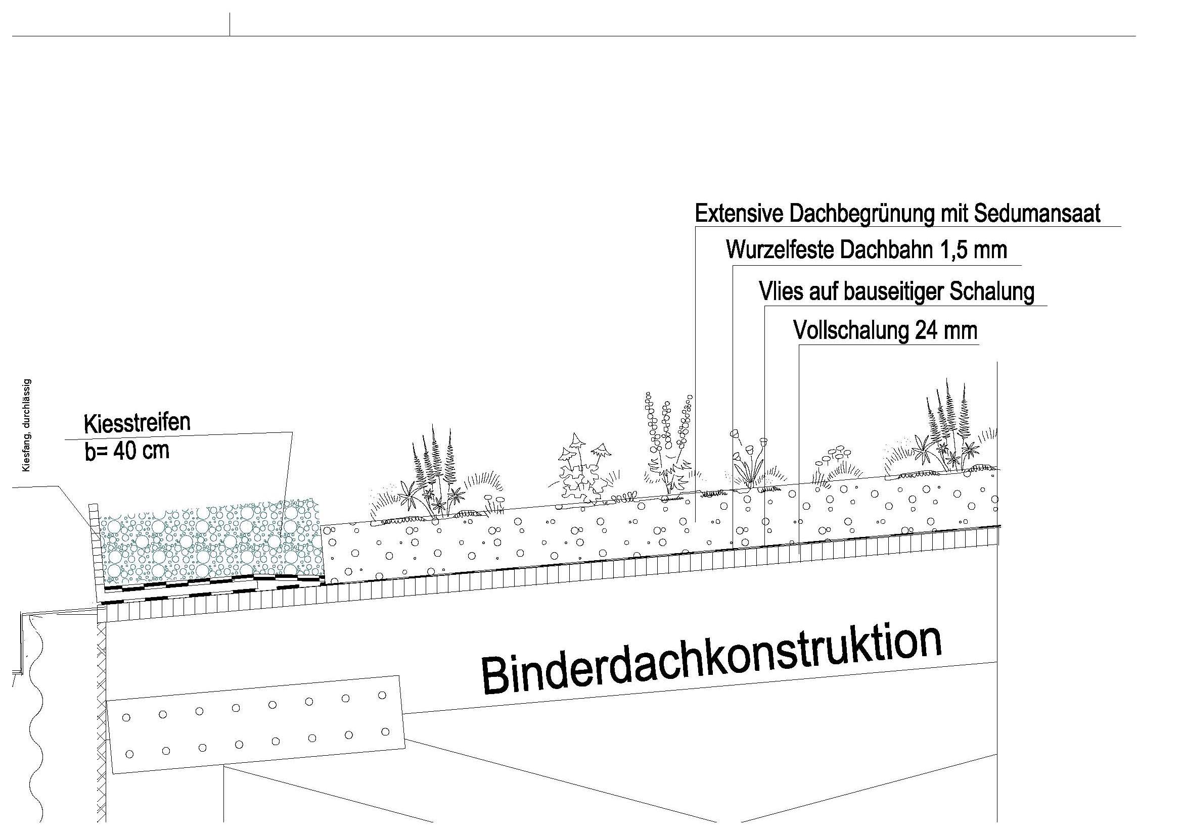 dachbegruenung.jpg