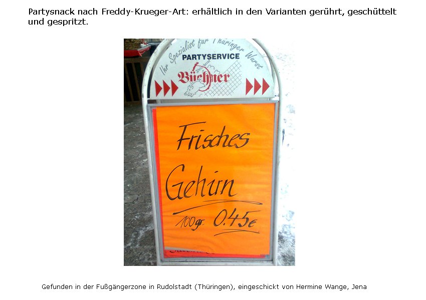 gehirn.jpg