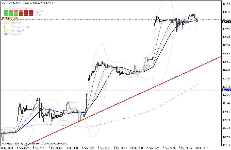 cotton-60_min-trendkannte-3-2.gif