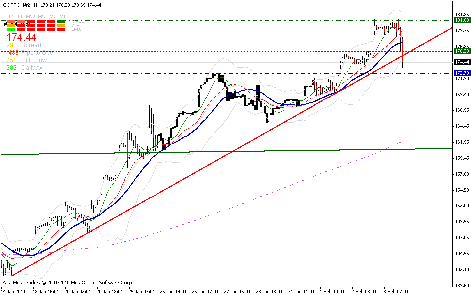 cotton-60_min-trendkannte-3-2.gif