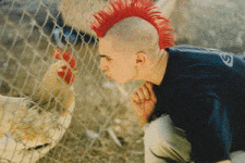 chickenhead.gif