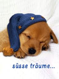 gute_nacht.jpg