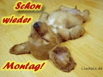 schon-wieder-montag.jpg