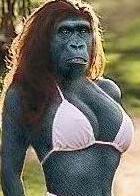 Ape_Sophie.jpg