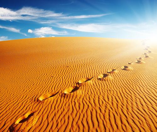 treibsand.jpg