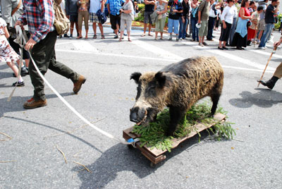 spaziergang_mit_greenpeace.jpg