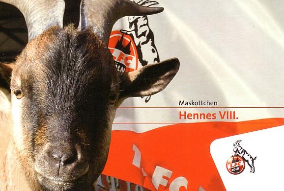 hennes_viii.jpg